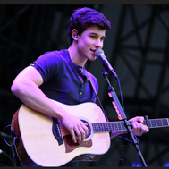 Shawn Mendez quiz!