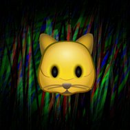 mira🐈