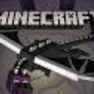 Wie Gut kennst du Yasin in Minecraft?