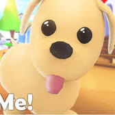 are u really a adopt me fan?
