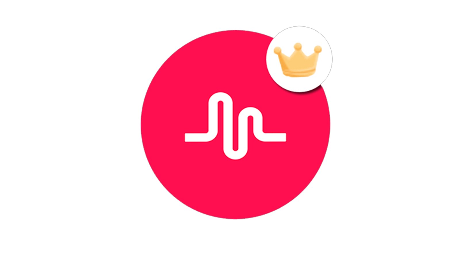 How Much Do You Know Musical.ly? ~ Official QuizMe Co-Worker~