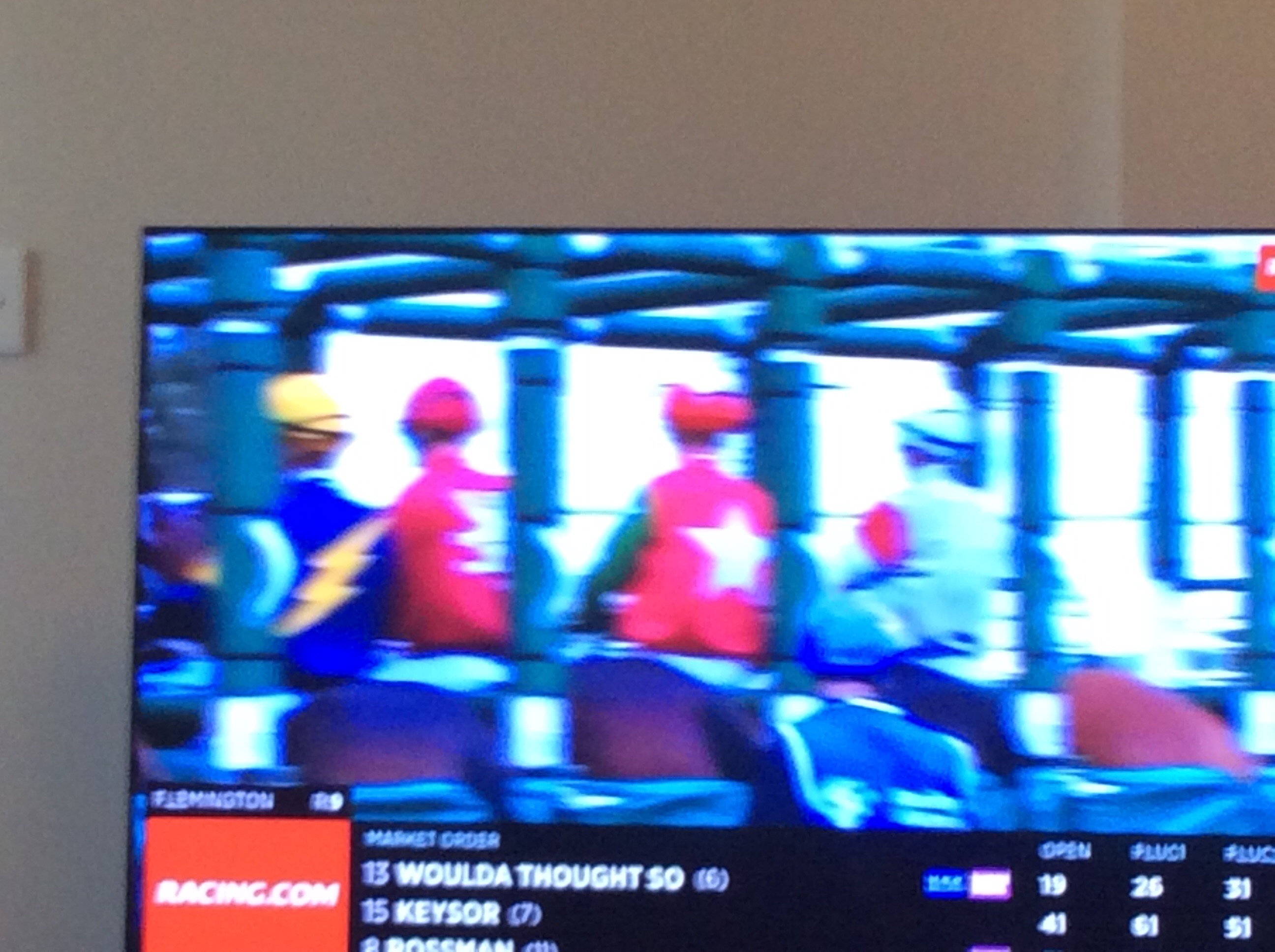 MooTube