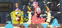 Svampbob