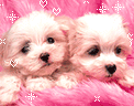 Are you a true Girly girl?