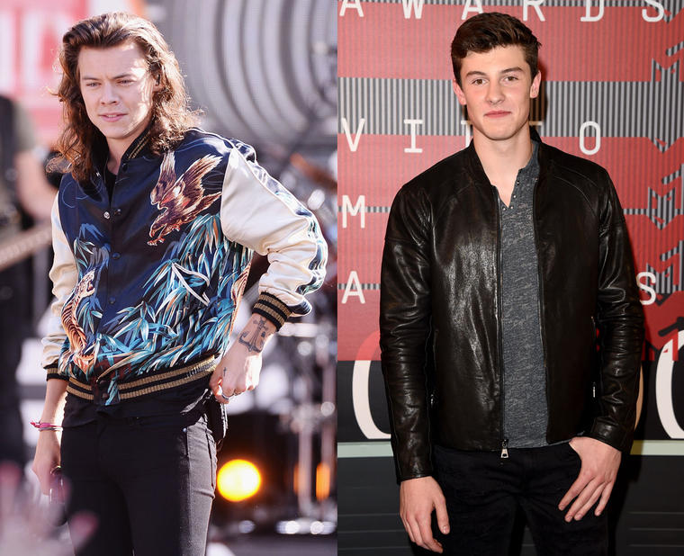 Shawn mendes or Harry styles