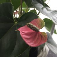 Hoe goed ken jij mij