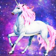 Are you a Unicorn ‼