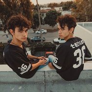 How well do you know the Dobre twins?