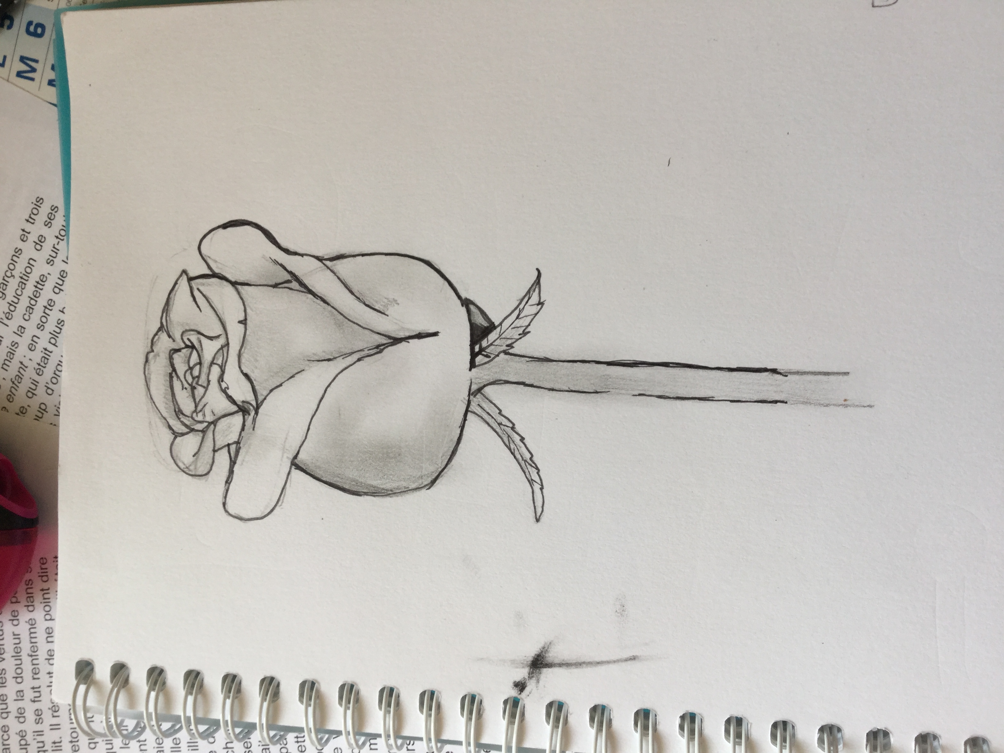 What flower r u