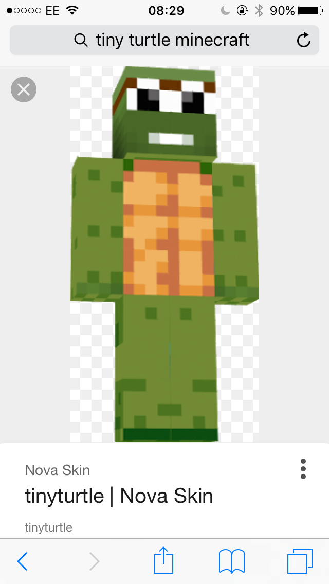 Tinyturtleg