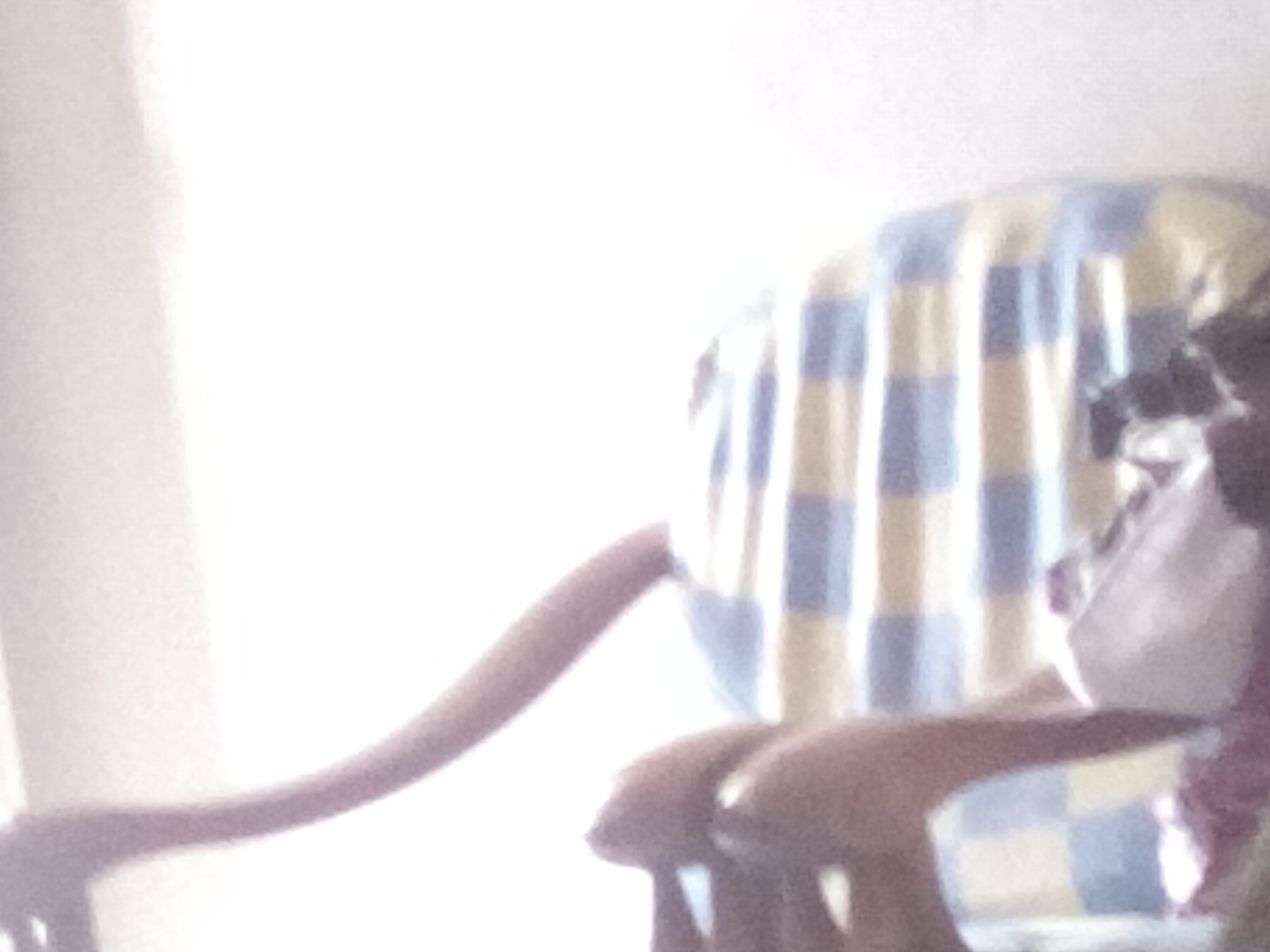 Do you need a sofa in your house