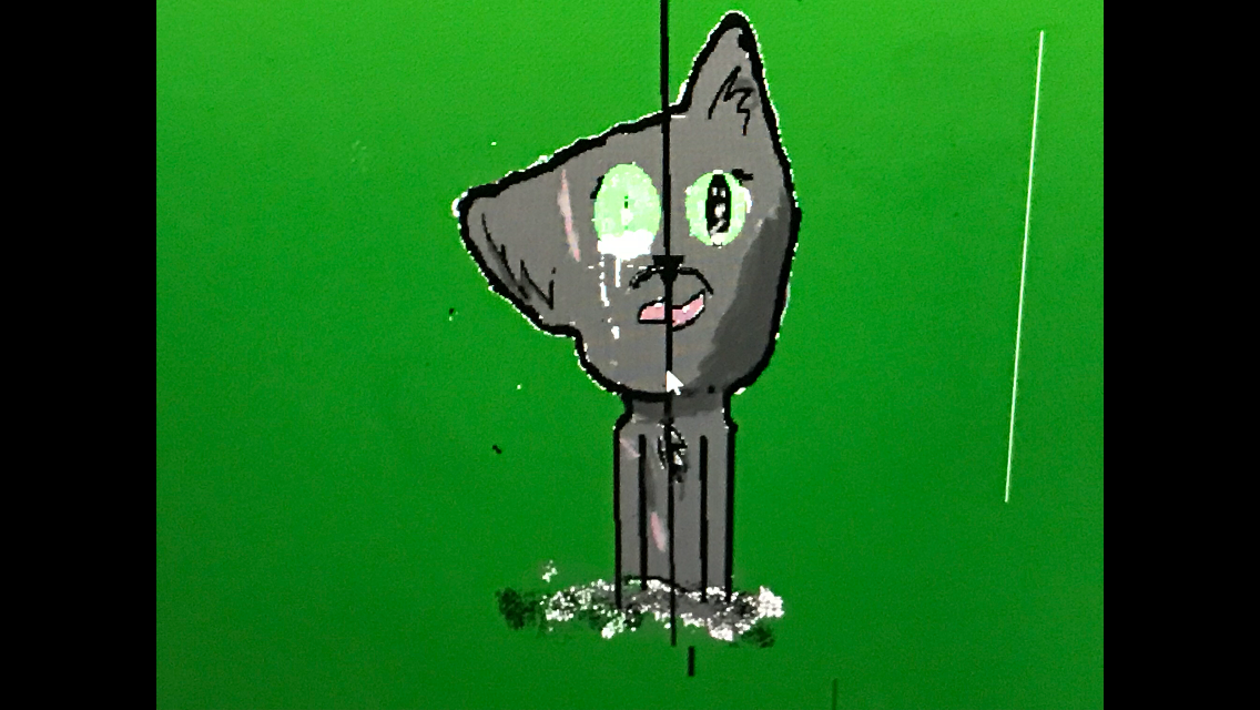 How well do you know hollyleaf from warrior cats