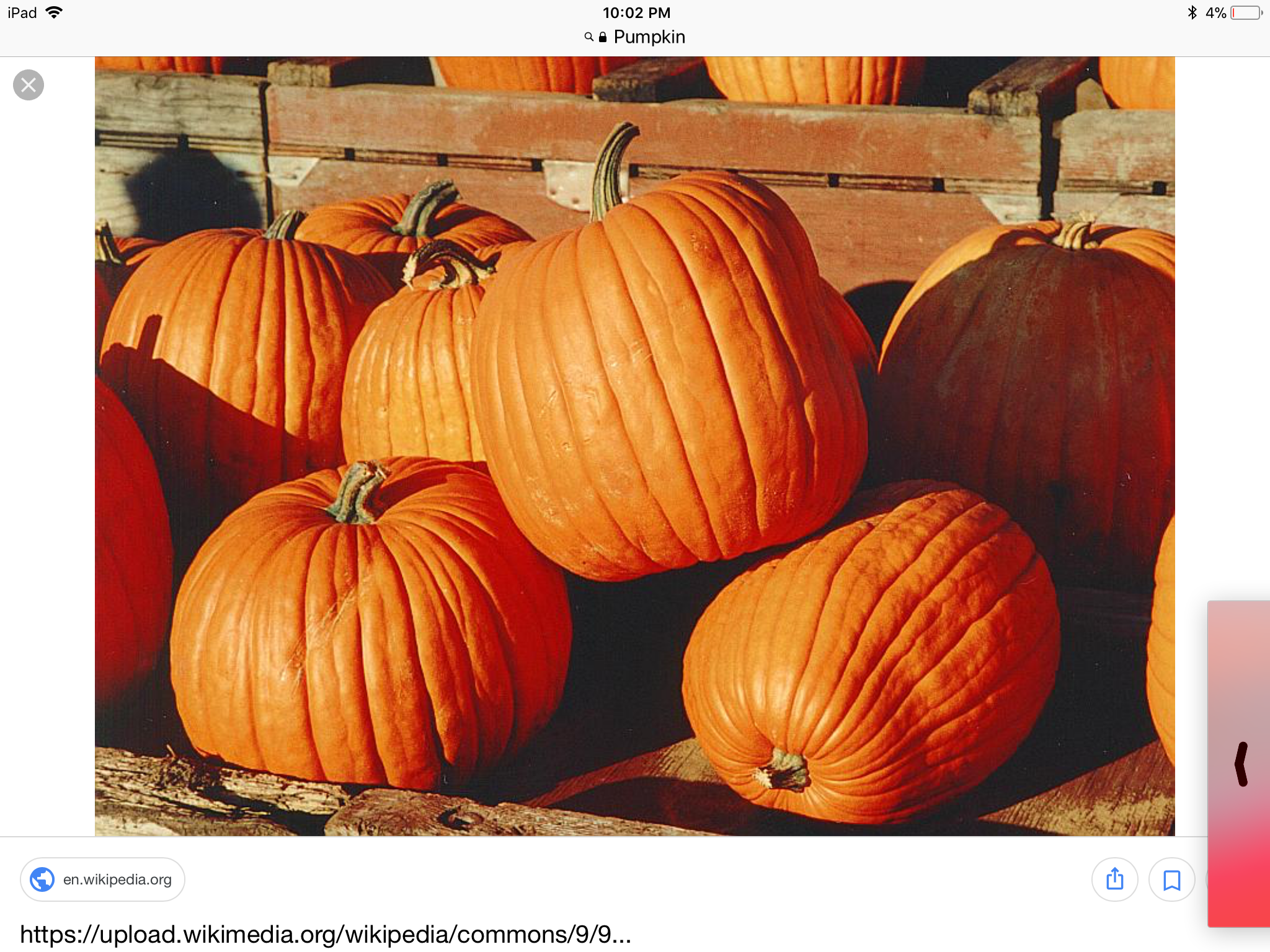 How well do you know pumpkin sweet potatoe