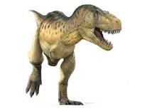 The dinosour quiz