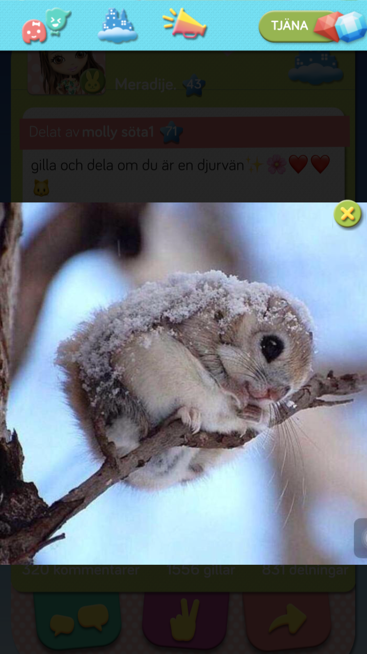 Är du bäst?