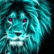are you a tiger or lion?