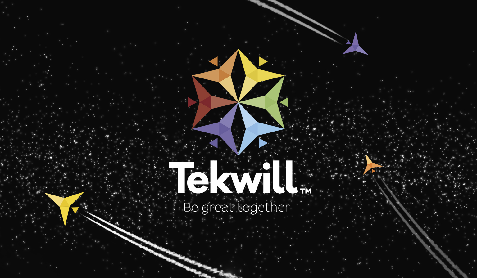 are you learning at at tekwill