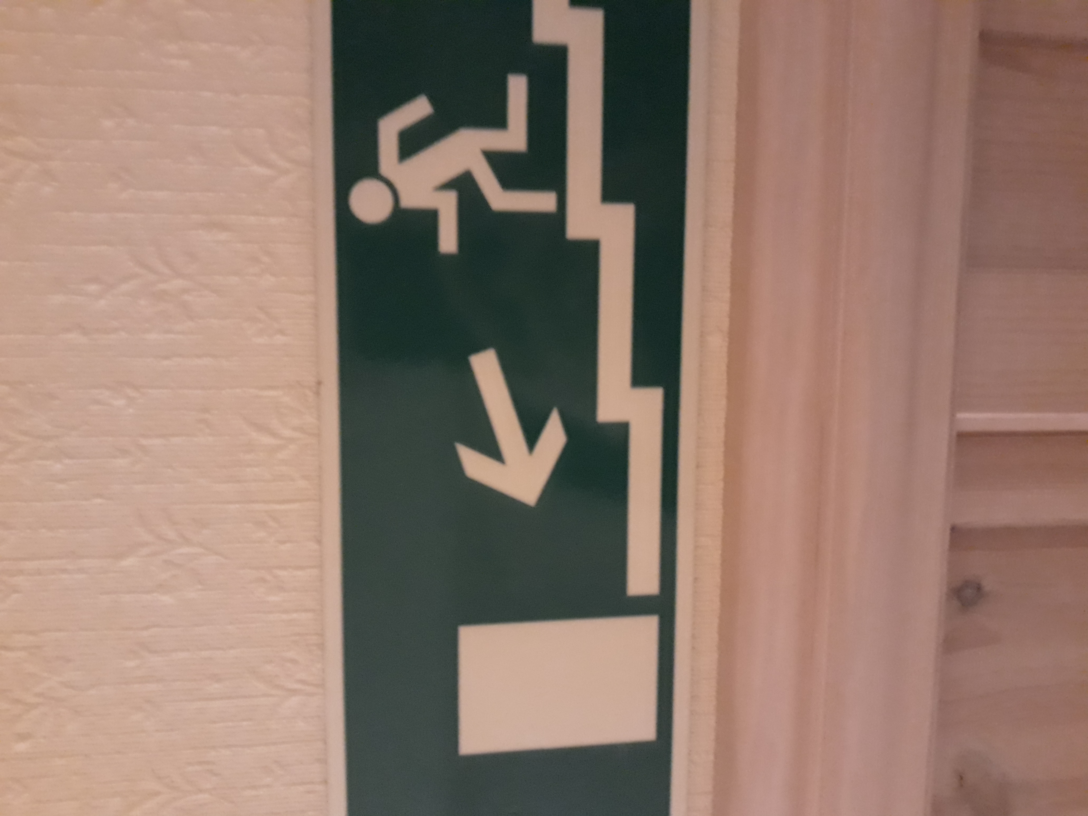 Hur mycket kan du om katter (egen fakta)