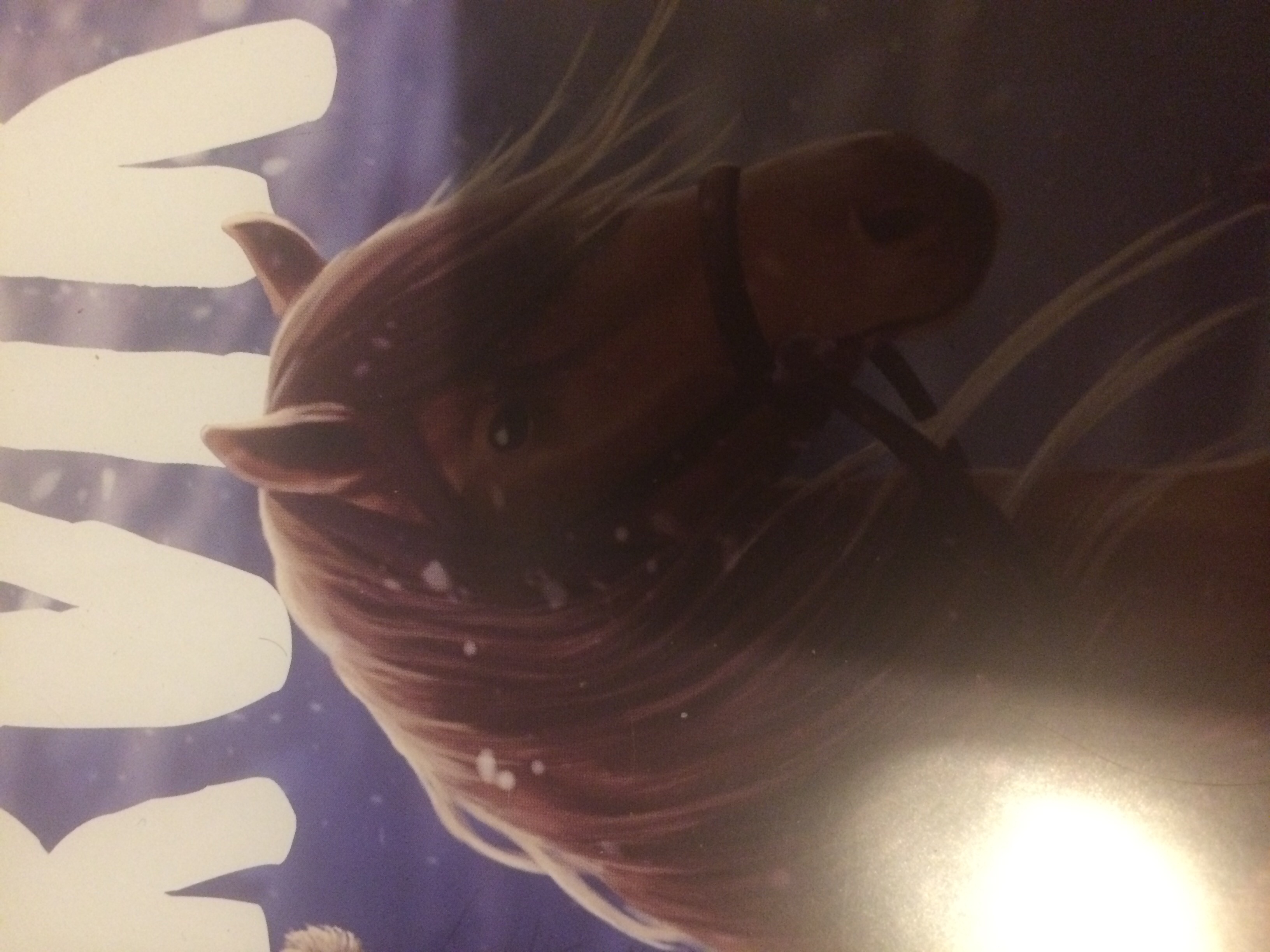 Vad kan du om starstable??