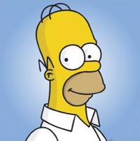 lik homer simpsons testet
