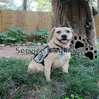 ServiceDogPaws