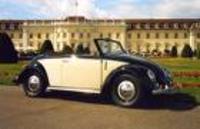 vw typ 1