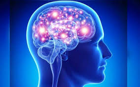 Psychology Test 3 Review