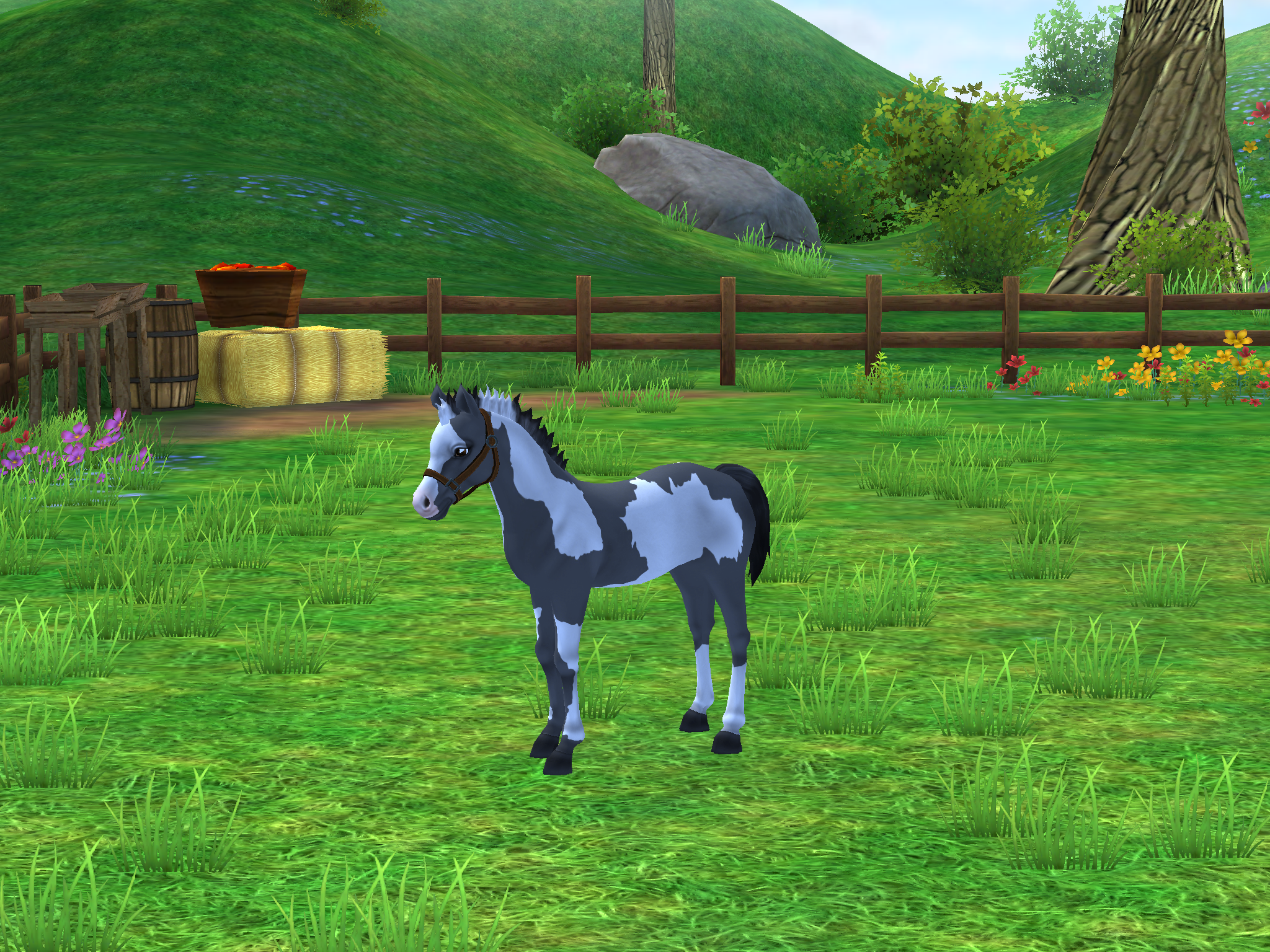 Star stable