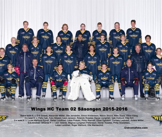 Wings hc 02