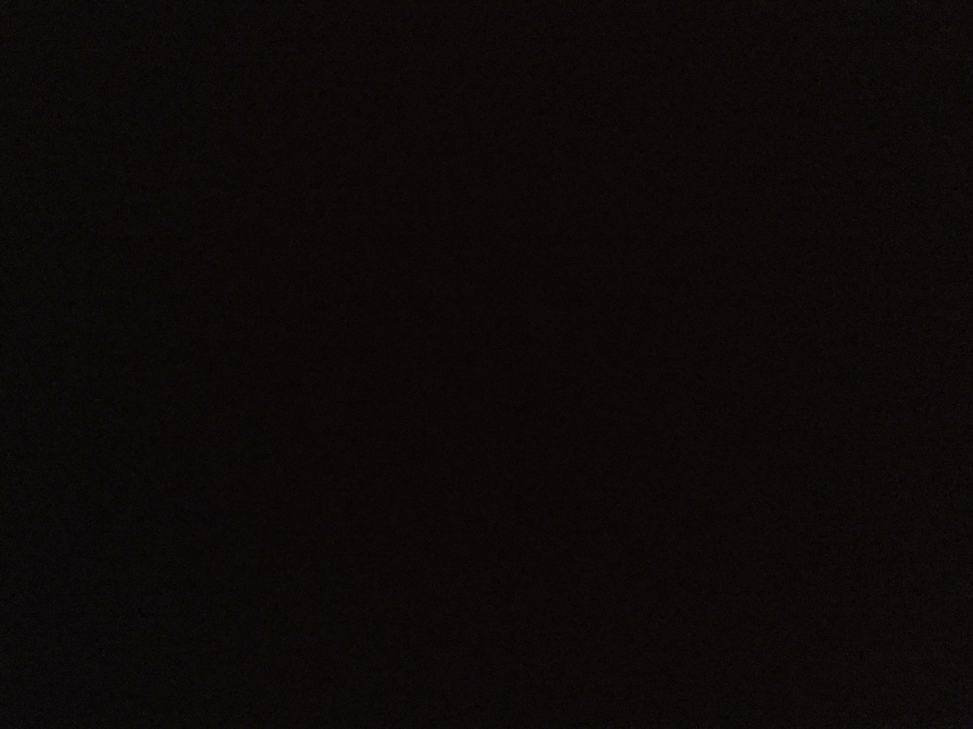 Ska vi bli vänner?