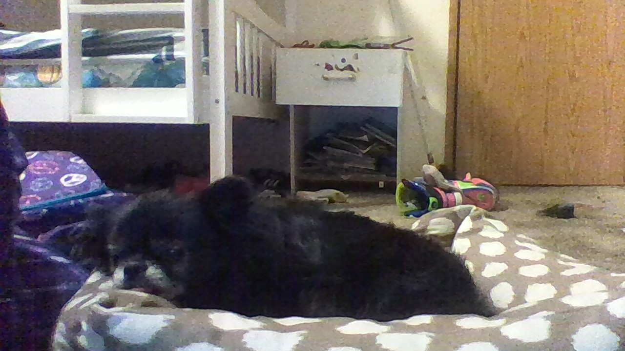 are you cute