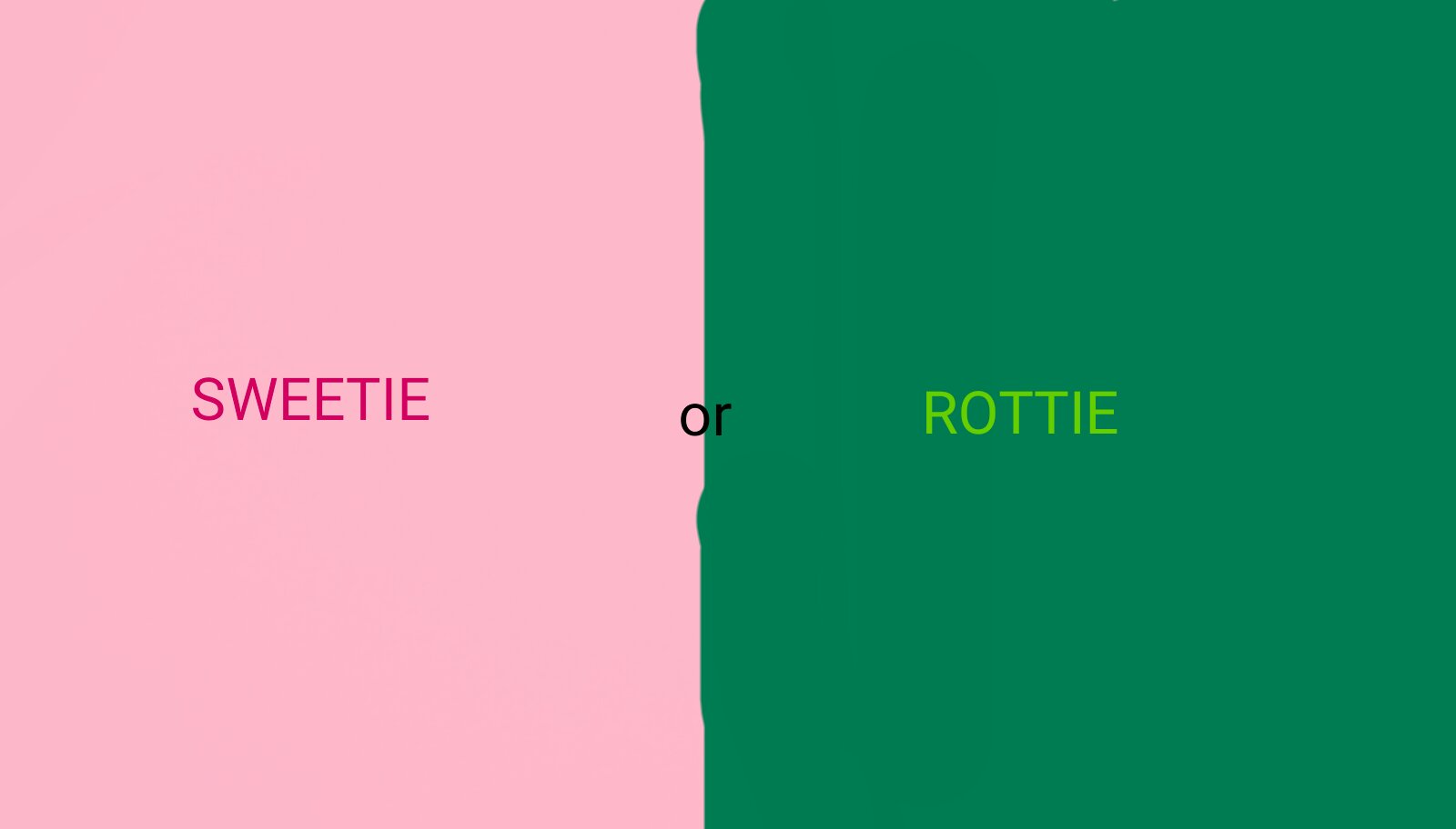 Are you a sweetie or a rottie? 💖or💔