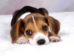 Are you considered "Cute"?
