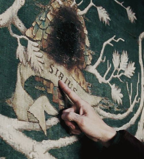 The Sirius Black quiz