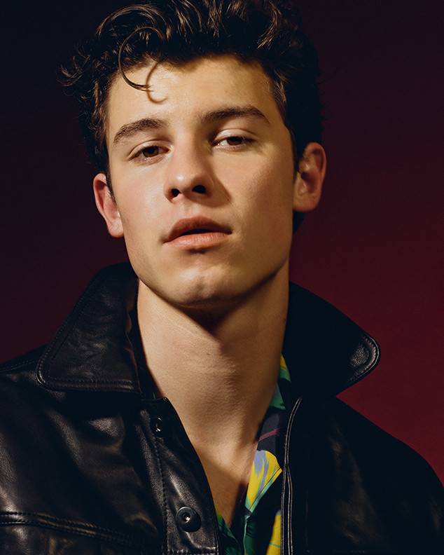 Will Shawn Mendes Date You as your Dream Girl