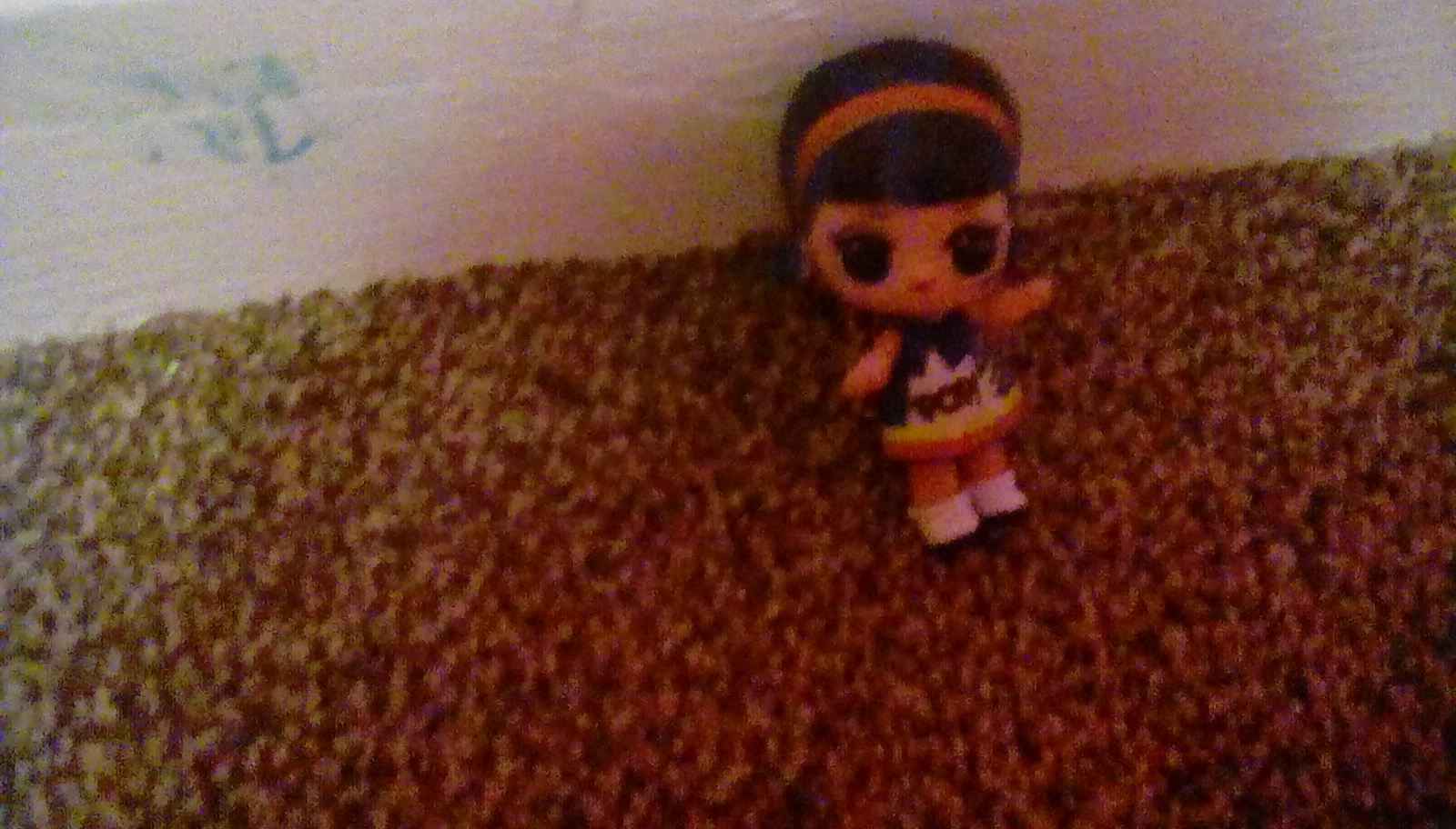 Guess the lol doll quiz