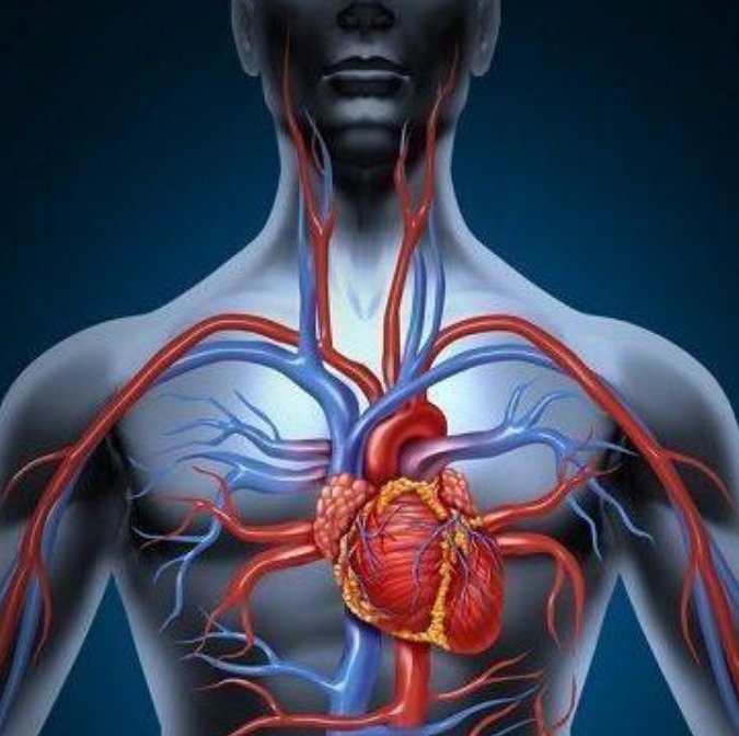 Fisiologia do Exercício