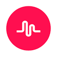 Who Are You : Musical.ly