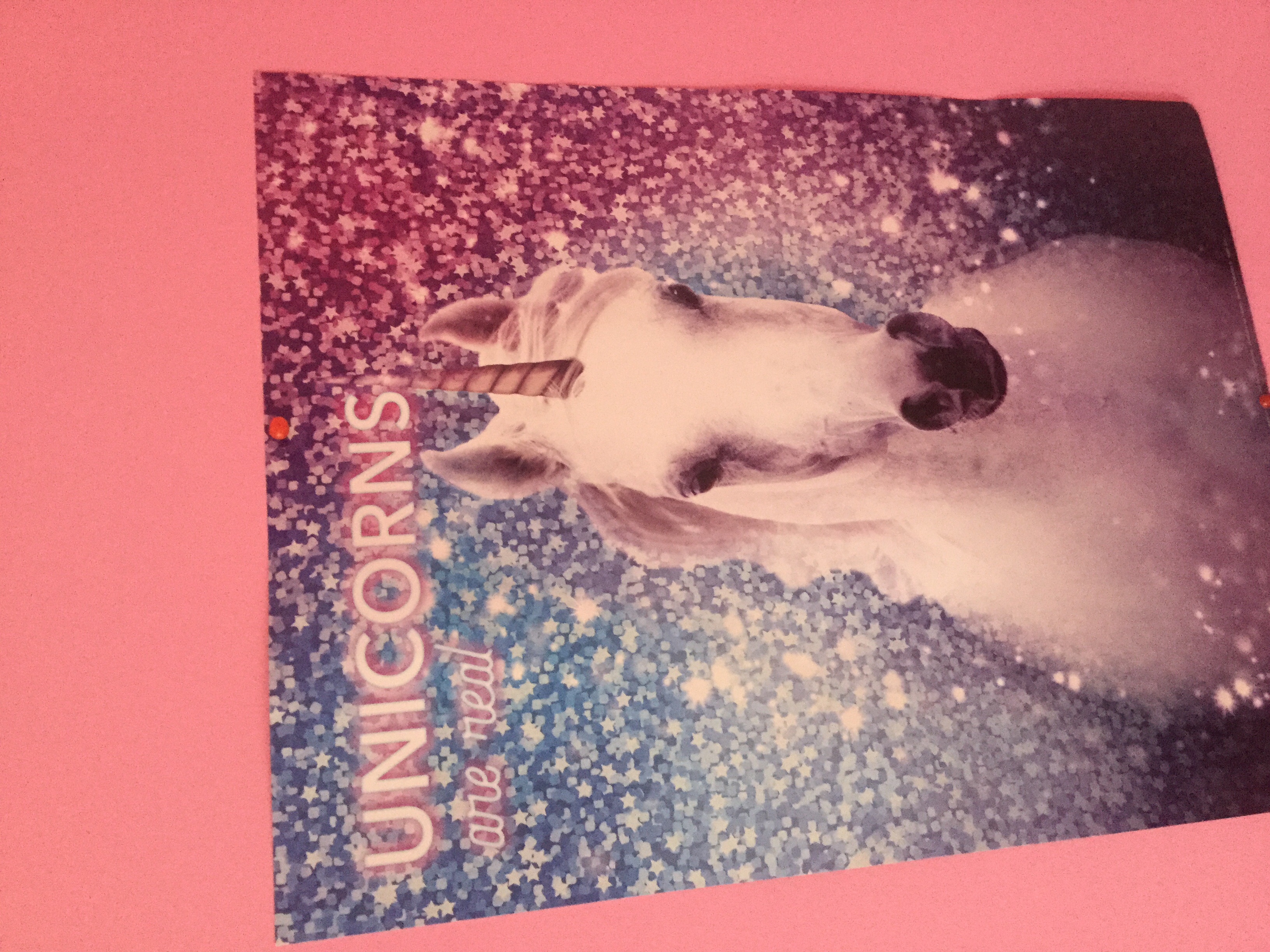 Do you like unicorns