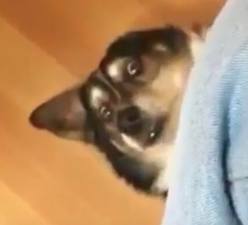 Mu