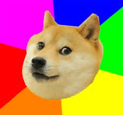 the Alex Crafted quiz