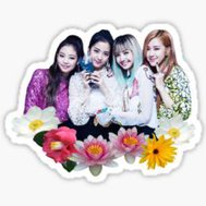 How well do you know blackpink!