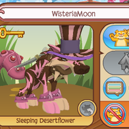 do you know animal jam