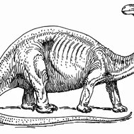 Pernillas första matte quiz