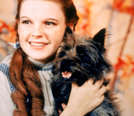 How well do you know the wizard of oz