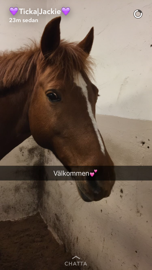 Är du snäll
