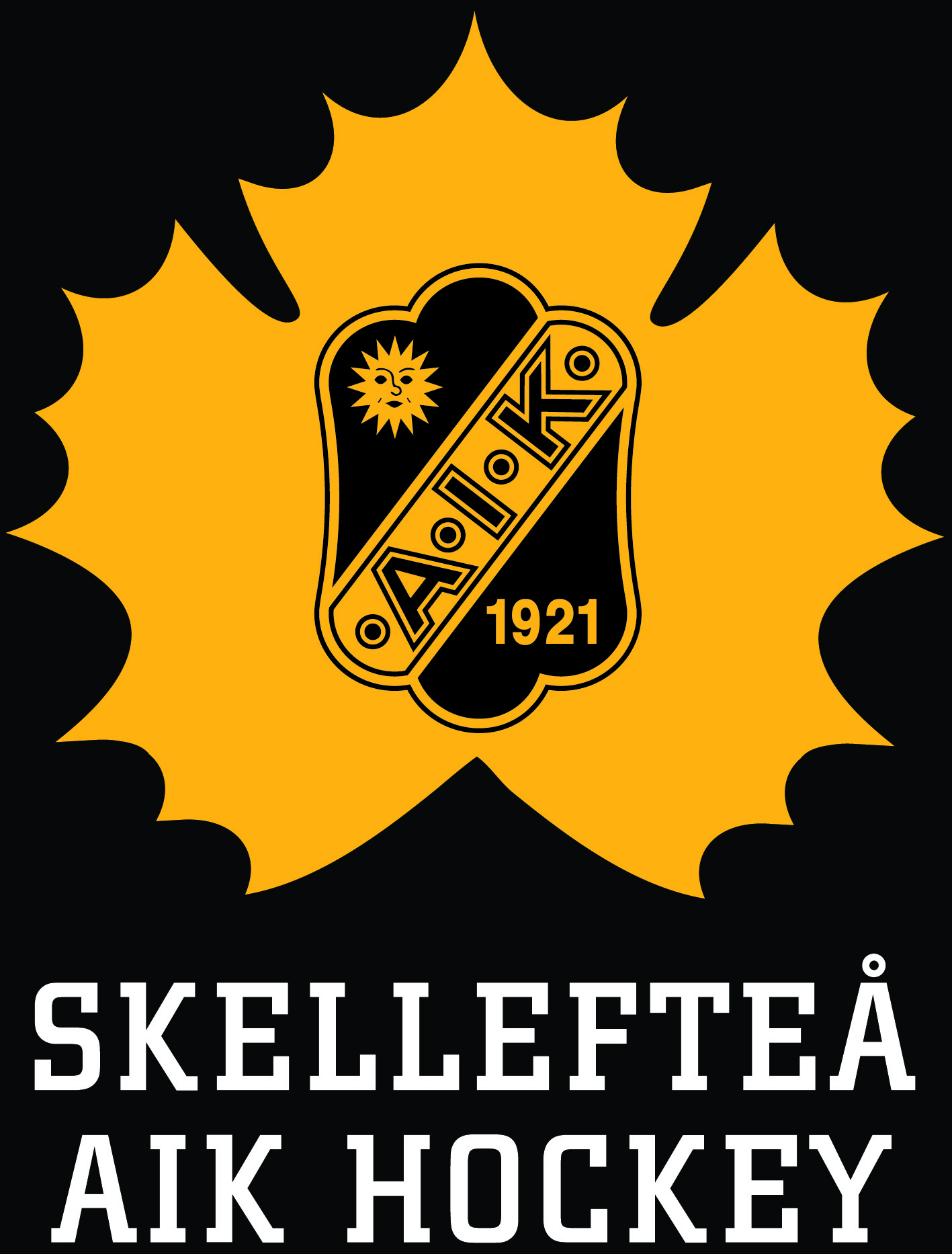 Är du en riktig skellefte suporter