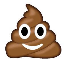 Do You Wee or Poo the most