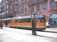 Gustavthörn Quiz