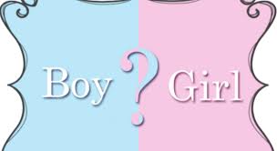 Am i gay? girls only-